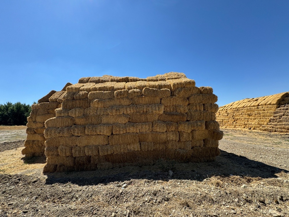 2177526660849205251tplv-be4g95zd3a-image 2177526660849205251tplv-be4g95zd3a-image